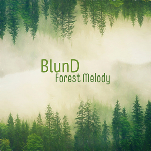 好爽好大又高潮了毛片视频
