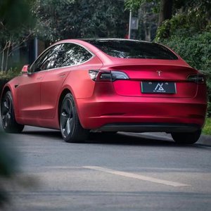 好爽好大又高潮了毛片视频
