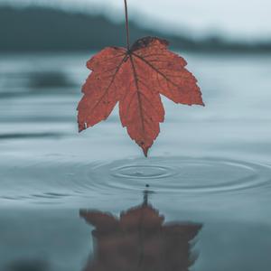 好爽好大又高潮了毛片视频
