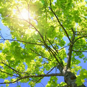 好爽好大又高潮了毛片视频
